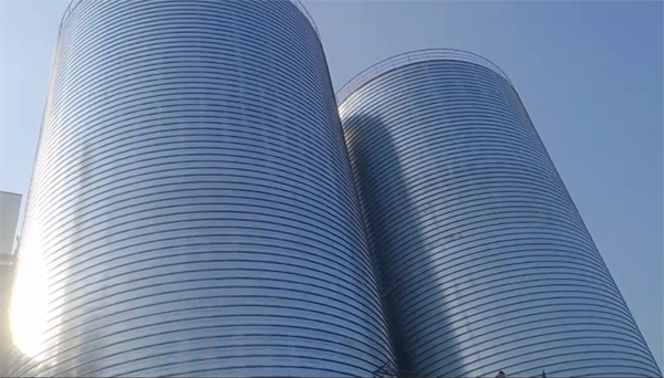 山东2座混凝土高架卷板仓